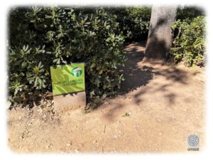 A sign of a small labyrinth, before we reach the main maze